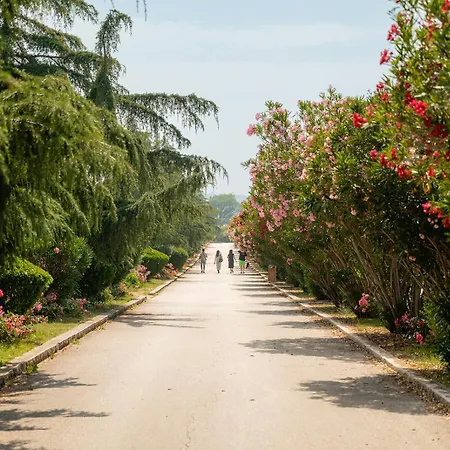 Campingplads Glamping Istrië Fažana